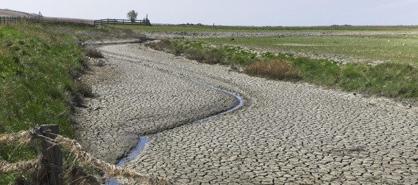 droogte-noorderleech.jpg