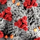macro_van_coronavirus.jpg