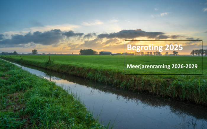 begroting-wdod-2025